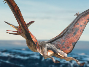 pteranodon animated rigged Model 3D