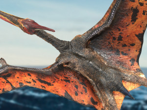 pteranodon animated rigged Model 3D