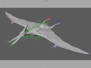pteranodon animated rigged Model 3D