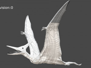 pteranodon animated rigged Model 3D