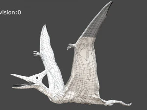 pteranodon animated rigged 3D Model