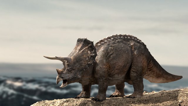 triceratops Model 3D .c4d .max .obj .3ds .fbx .stl .blend 
