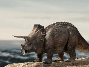 трицератопс 3D Модель