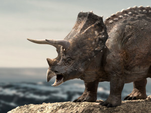 triceratops Model 3D
