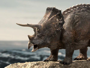 triceratops 3D Model