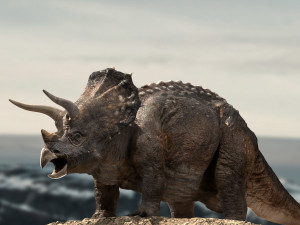 triceratops Model 3D