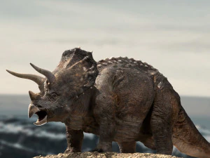 triceratops 3D Model