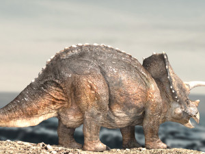 triceratops Model 3D
