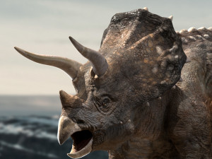 triceratops Model 3D