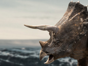 triceratops Model 3D