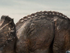 triceratops Model 3D