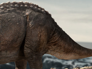 triceratops Model 3D