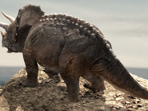 triceratops Model 3D