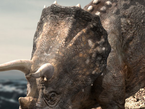 triceratops Model 3D