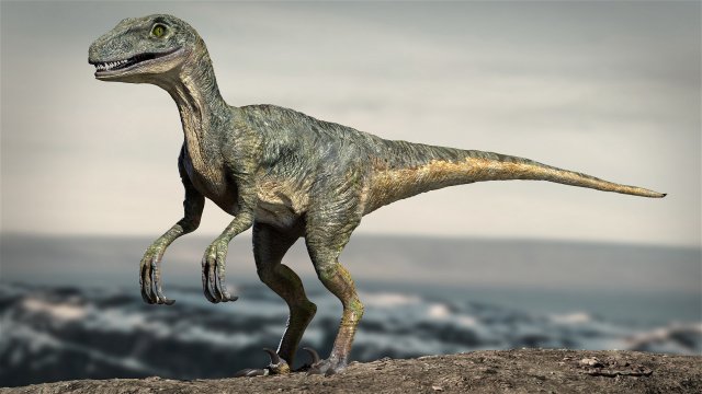 velociraptor animated rigged Model 3D .c4d .max .obj .3ds .fbx .stl .blend 
