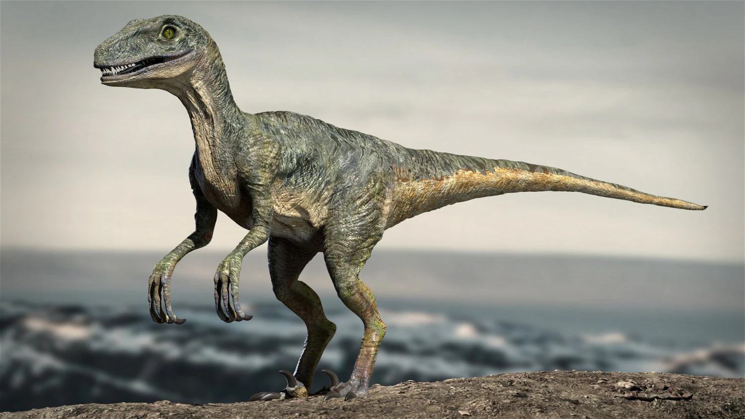 velociraptor animado equipado Modelo 3D .c4d .max .obj .3ds .fbx .stl .blend 