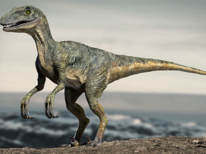 velociraptor animated rigged 3D Model