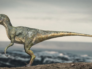 velociraptor animated rigged Model 3D