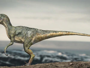 velociraptor animado equipado Modelo 3D