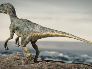 velociraptor animado equipado Modelo 3D