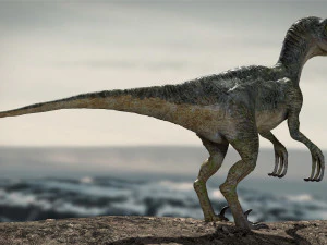 velociraptor animado equipado Modelo 3D