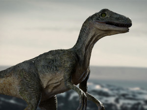 velociraptor animated rigged Model 3D