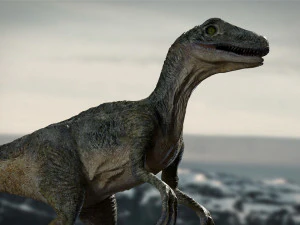 velociraptor animado equipado Modelo 3D