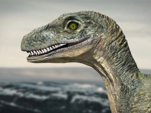 velociraptor animado equipado Modelo 3D