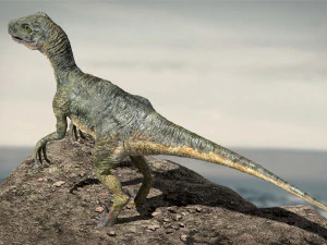 velociraptor animado equipado Modelo 3D