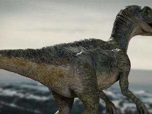 velociraptor animado equipado Modelo 3D