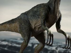 velociraptor animated rigged Model 3D