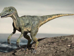 velociraptor animado equipado Modelo 3D