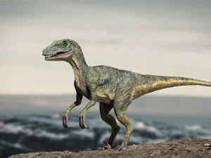 velociraptor animado equipado Modelo 3D