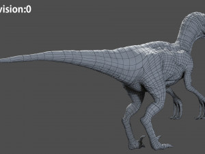 velociraptor animated rigged Model 3D