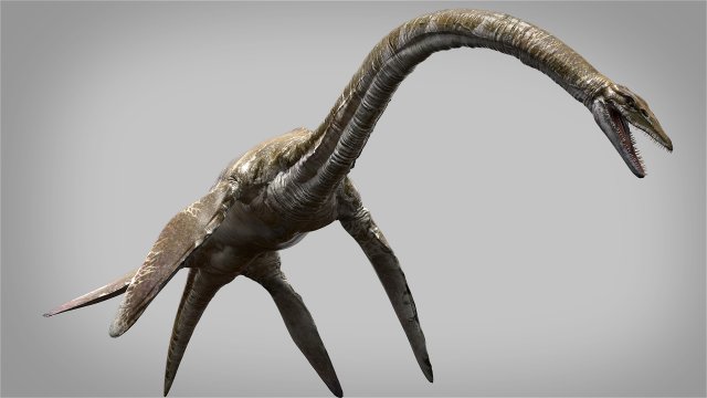 elasmosaurus rigged Modèle 3D .c4d .max .obj .3ds .fbx .stl .blend 