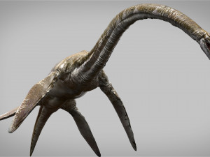 elasmosaurus rigged 3D Model