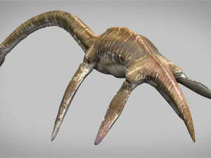 elasmosaurus rigged 3D Model