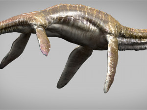 elasmosaurus rigged Modèle 3D