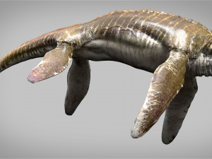 elasmosaurus rigged Modèle 3D