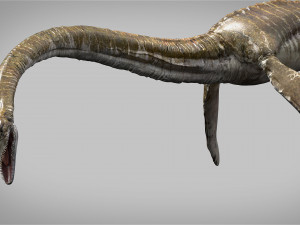 elasmosaurus rigged Modèle 3D