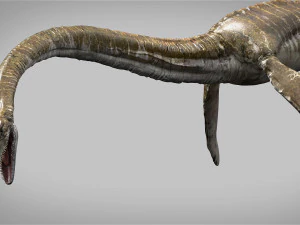 elasmosaurus rigged 3D Model
