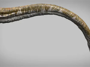 elasmosaurus rigged 3D Model