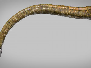 elasmosaurus rigged Modèle 3D