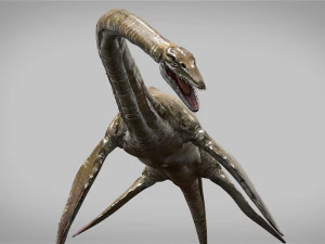 elasmosaurus rigged 3D Model