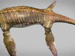 elasmosaurus rigged Modèle 3D