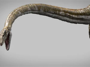 elasmosaurus rigged 3D Model