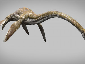 elasmosaurus rigged Modèle 3D