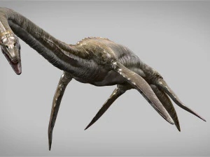 elasmosaurus rigged 3D Model