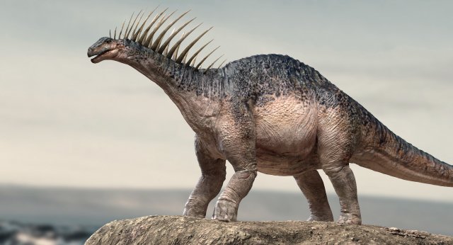 amargasaurus 3d rigged model Model 3D .c4d .max .obj .3ds .fbx .stl .blend 