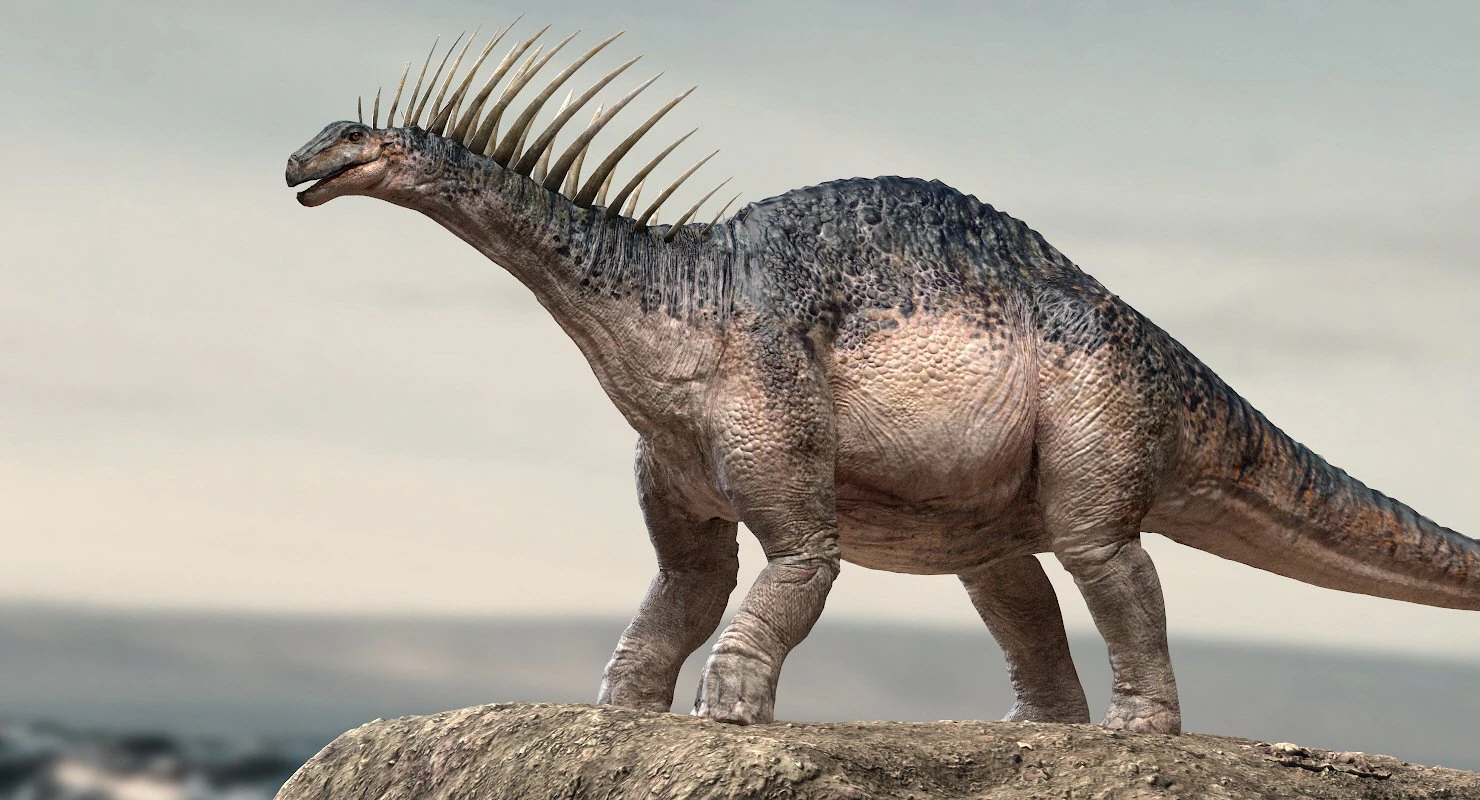 amargasaurus 3d rigged model 3D Model .c4d .max .obj .3ds .fbx .stl .blend